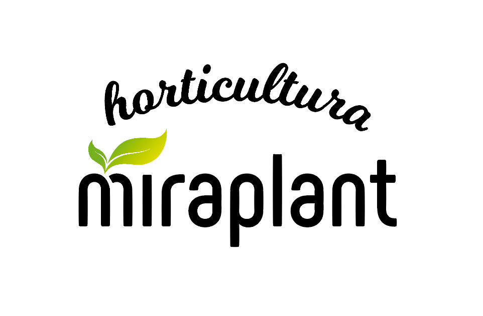 Productores de planta ornamental - Miraplant